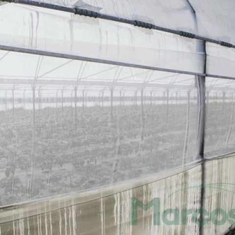 PLASA ANTIINSECTE