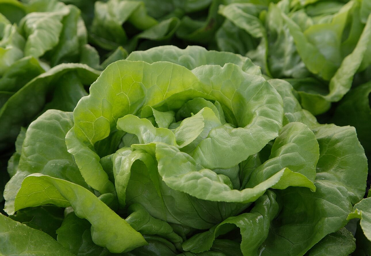 RADIAN